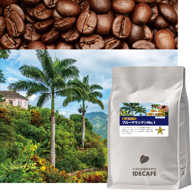 【ジャマイカ産】 ブルーマウンテンNO,1 コーヒー豆200g Amazon | 100% Jamaica Blue Mountain Nol.1 Coffee Whole Beans