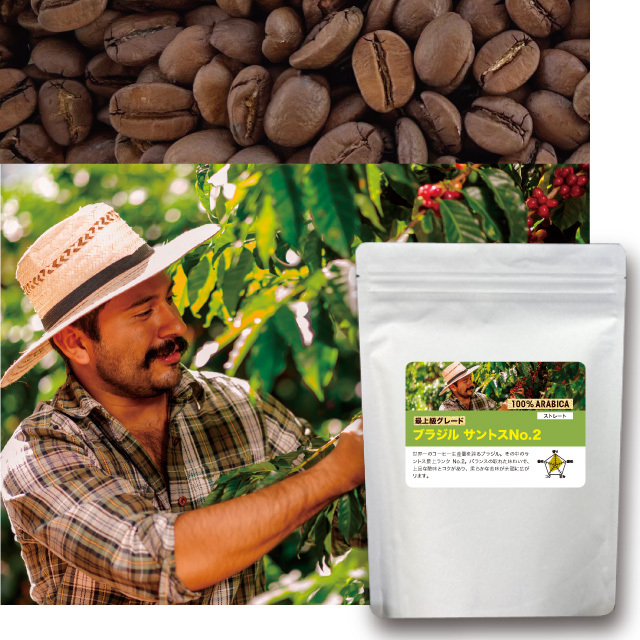 ブラジル　サントスNo.2