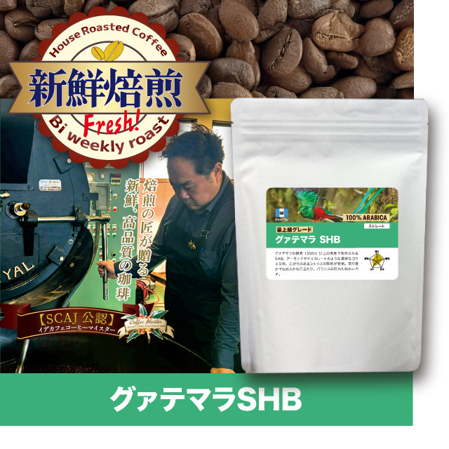 【新鮮焙煎】グァテマラSHG  ※発送6/11・6/12
