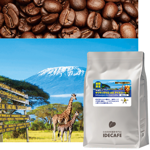 （デカフェ）360g★【フォロー割】適用価格 コーヒー（家庭用）