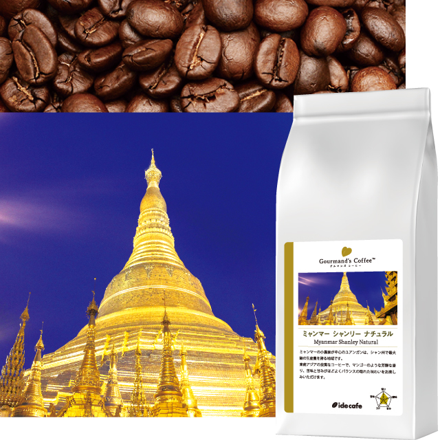 【コーヒー生豆】キューバ ETL　5kg 　※送料無料 珈琲問屋オンラインストア】100種類以上のコーヒー豆から選べる
