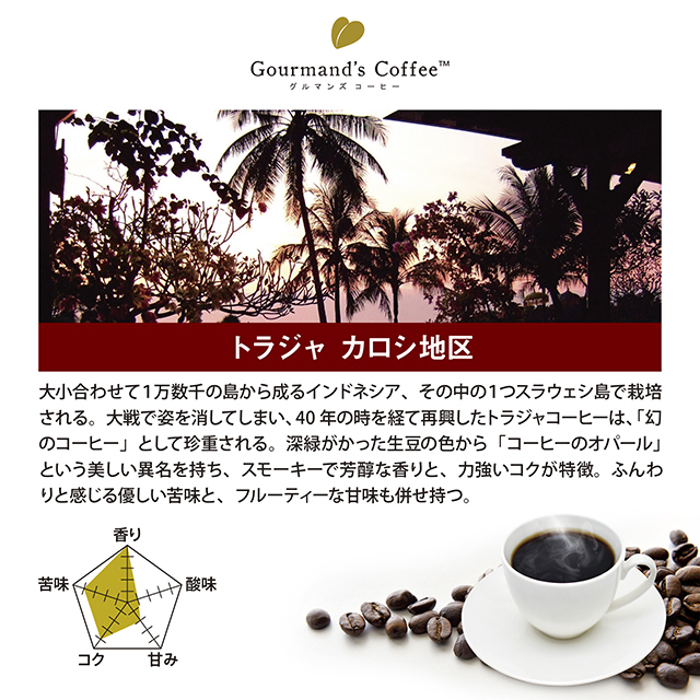 トラジャ カロシ地区 自家焙煎珈琲専門店イデカフェ