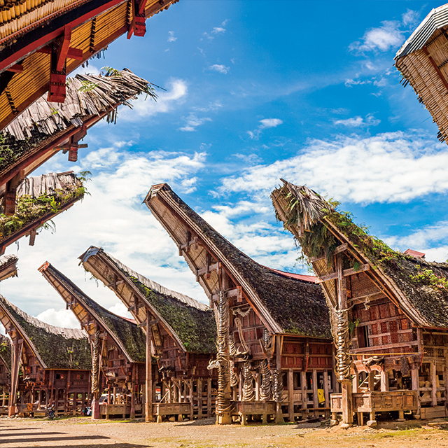 トラジャ　カロシ地区（朝市）