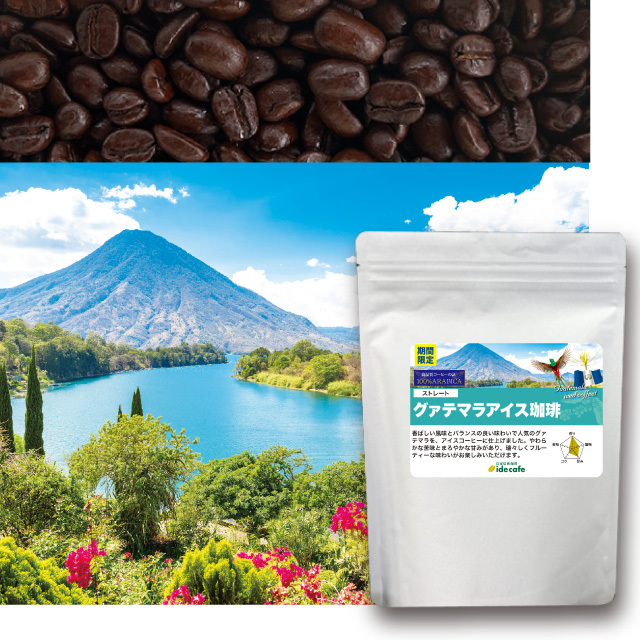 【夏季限定】グァテマラアイスコーヒー