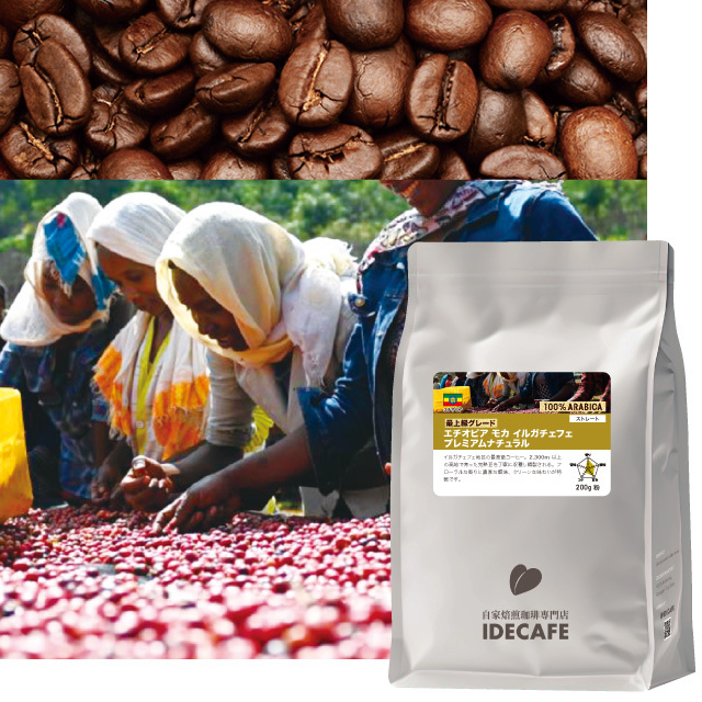 【朝市限定価格】エチオピアモカイルガチェフェ プレミアムナチュラル 800g