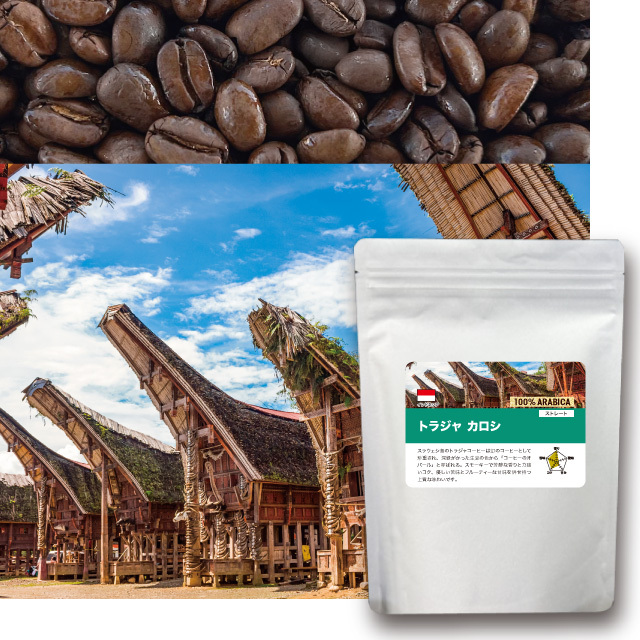 トラジャ　カロシ地区