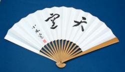 囲碁 棋士揮毫太骨扇子 小林 覚 天空 タトウ紙つき 日本棋院 郵送料