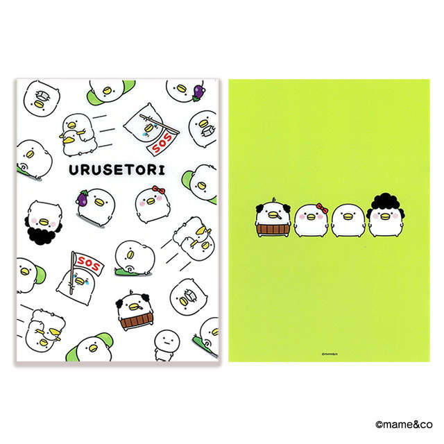 クリアファイル うるせぇトリ チラシ