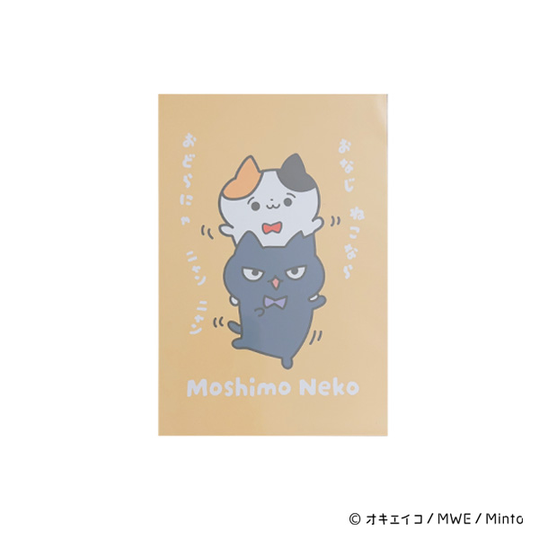 もしも猫　ポストカード　C