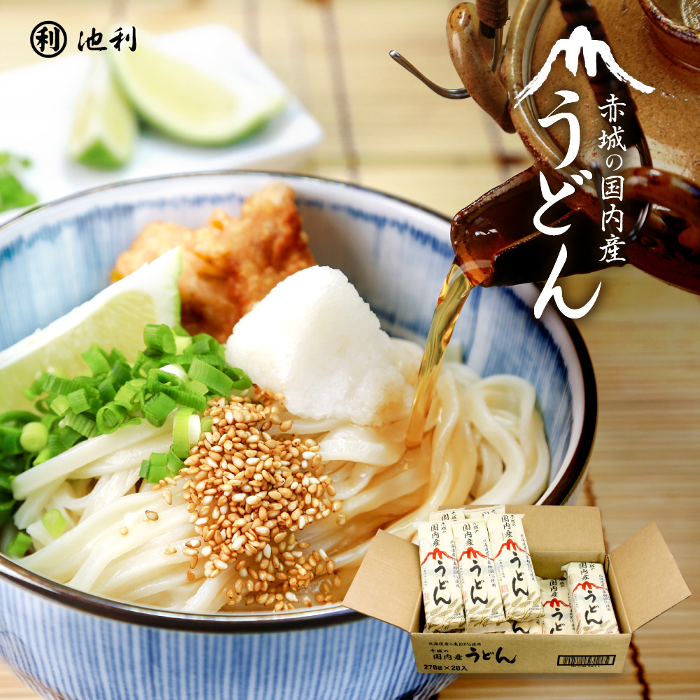赤城の国内産うどん270g×20袋（1ケース）（北海道産小麦100%使用）ゆで時間約10分【包装・のし不可】