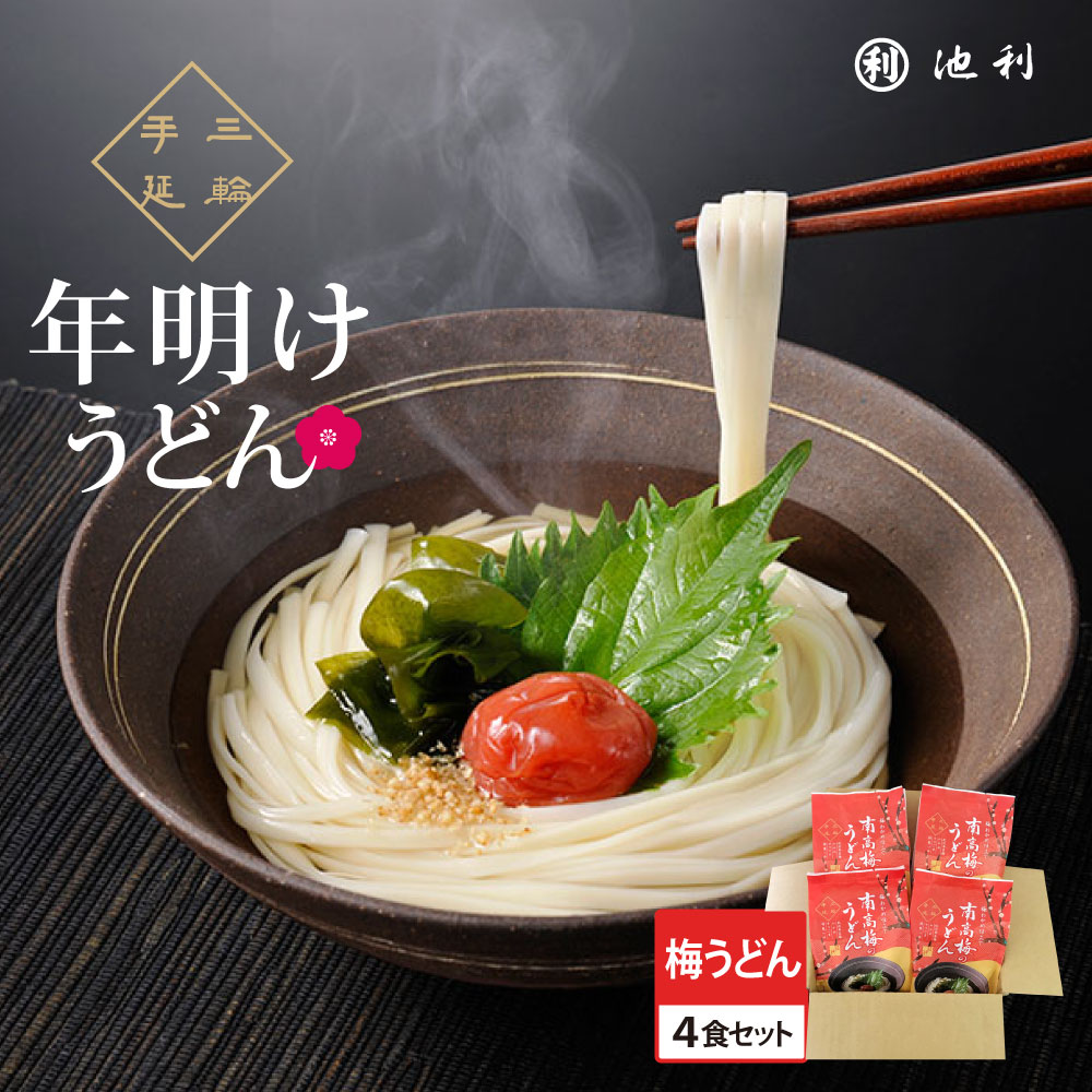 【販売終了】年明けうどん 池利の南高梅のうどん４食入り