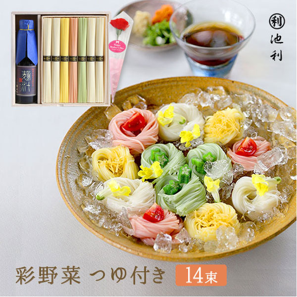 【完売御礼】母の日 プレゼント ギフト 彩野菜 つゆ付き （50g×14束 約9人前） カーネーション付き