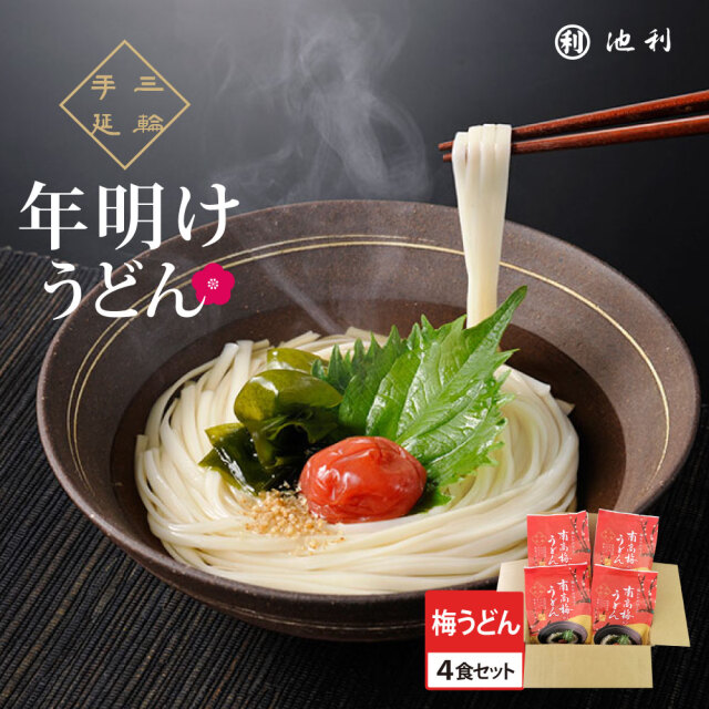 手延べ三輪うどん年明けうどん4食入り南高梅手延べうどんセット