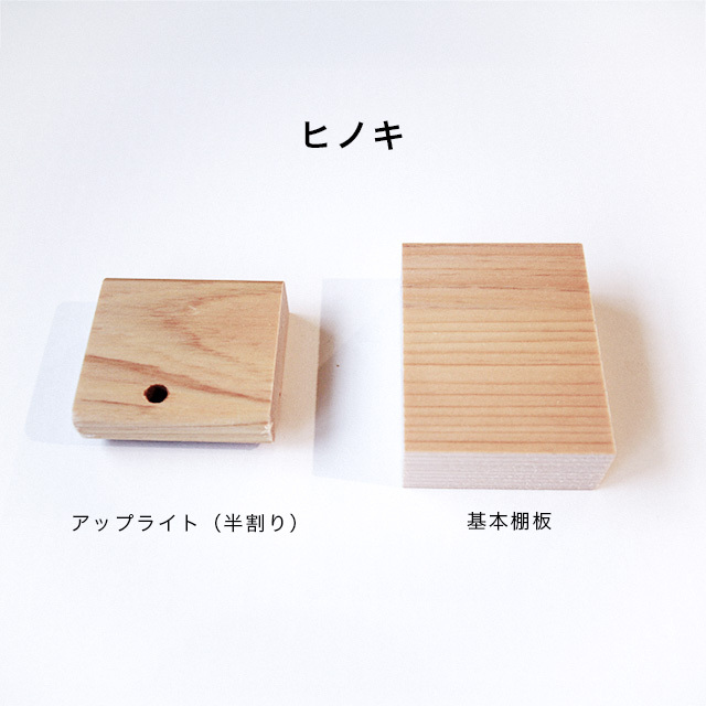 サンプル画像