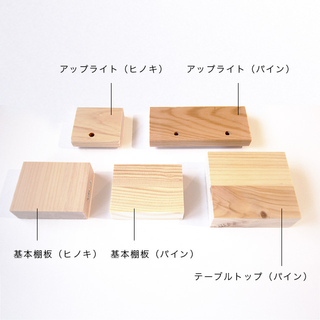 サンプル画像