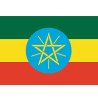 深煎りモカ イルガチェフェ《100ｇ》