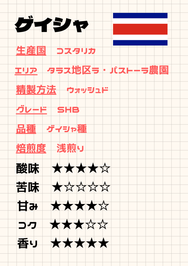 コスタリカ　ゲイシャ 《100ｇ》