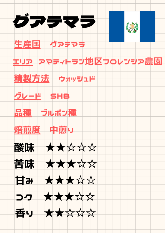 グアテマラ  フロレンシア 《100g》