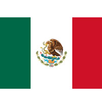 カフェインレス・メキシコ  JAS認証・有機栽培 《100ｇ》