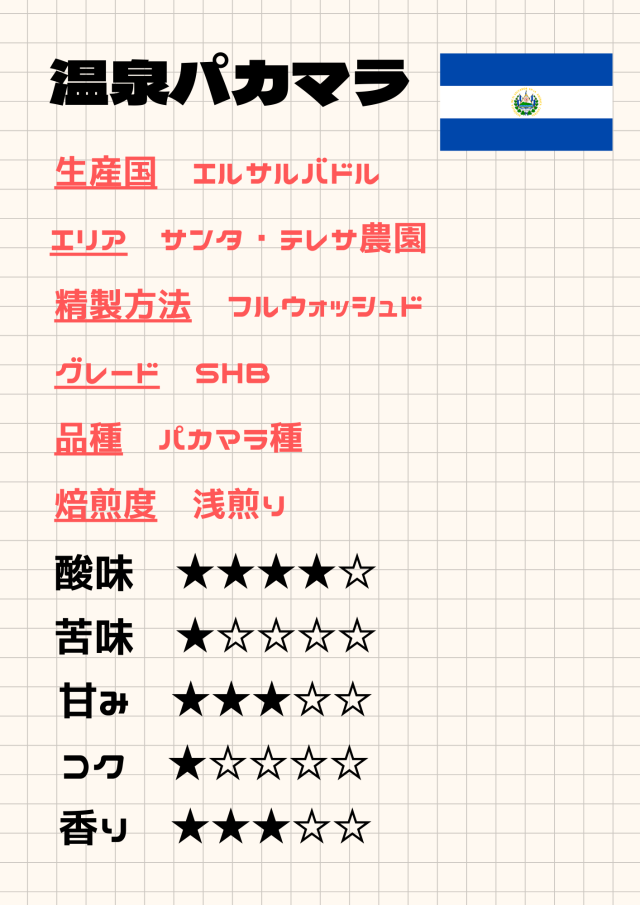 エルサルバドル 温泉パカマラ 《100g》