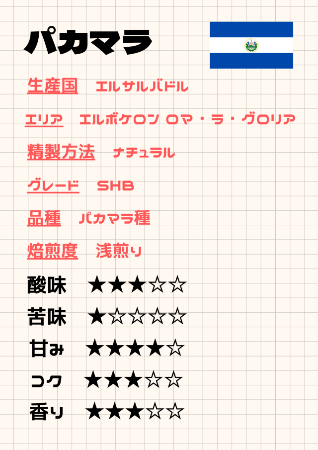 エルサルバドル　パカマラ 《100ｇ》