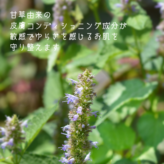 一光金箔馬油