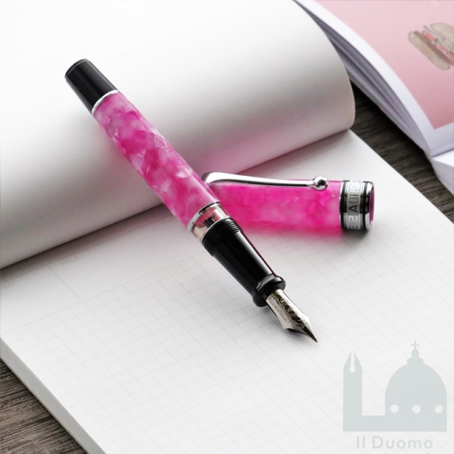 Waterman 万年筆 ピンク 615v0LLDusL._UF1000,1000_QL80_.jpg