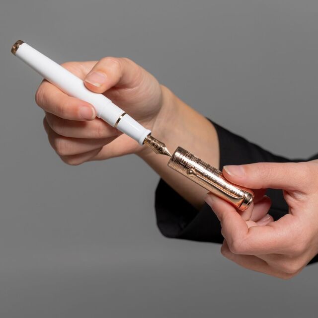 アウロラ 限定生産品 タレンタム デダーロ ビアンコ 万年筆 Aurora  