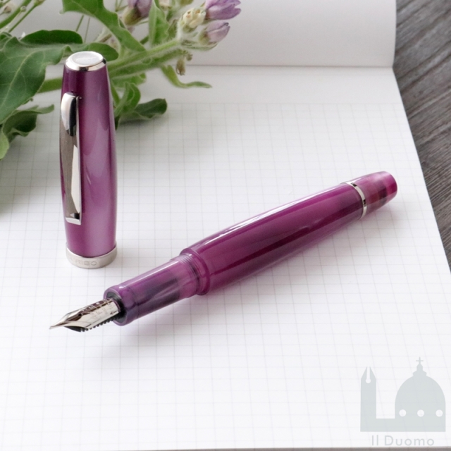 スクリーボ 限定生産品 ラ・ドッタ カンパヌラ 万年筆 14Kフレックス