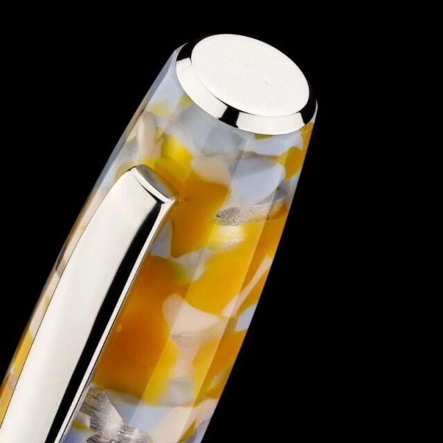 スクリーボ　限定生産品　フィール　サーレ・ディ・チェルヴィア　万年筆