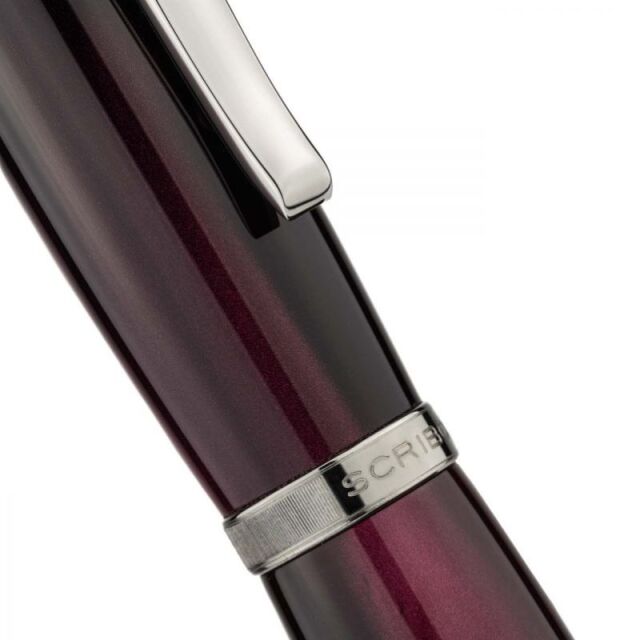 スクリーボ 限定生産品 ラ・ドッタ ドラッペリエ 万年筆 14Kフレックス