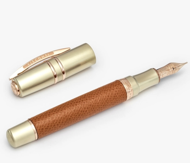 ビスコンティ ホモサピエンス ダークエイジ23k パラジウムペン先 F  