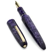 スクリーボ 限定生産品 ピウマ ア・リヴェデル・レ・ステッレ 万年筆