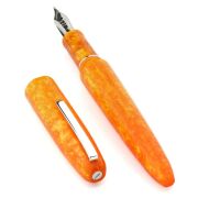 スクリーボ 限定生産品 ピウマ ア・リヴェデル・レ・ステッレ 万年筆