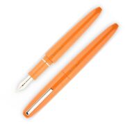 スクリーボ 限定生産品 ピウマ ア・リヴェデル・レ・ステッレ 万年筆