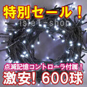 新ＬＥＤイルミネーション電飾600球ホワイト