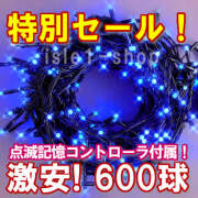 新ＬＥＤイルミネーション電飾600球ブルー