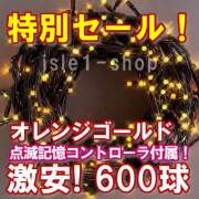 新ＬＥＤイルミネーション電飾600球オレンジゴールド