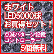 新ＬＥＤイルミネーション電飾5000球ホワイト