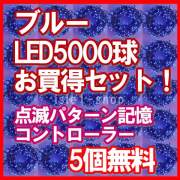 新ＬＥＤイルミネーション電飾5000球ブルー