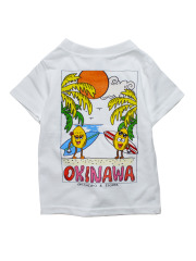 ilu098,okinawa,沖縄,アイル,沖縄旅行,おきなわ,ぎのわんヒルズ通り,親子コーデ,アイルTシャツ,普天間,宜野湾,沖縄ファッション,
