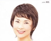 おしゃれなファッション用のかつら【ウィッグビューティー】SOPHIANショートレイヤーSD-113(フルウィッグ)