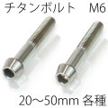 【メール便対応】 チタンボルト2本セット テーパーキャップ M6 × 20～50mm P1.0 焼き色なし Ti - 6Al - 4V Titanium