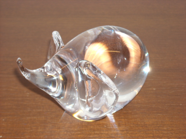 仕草が可愛いゾウ　ラージサイズ