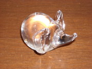 姿が可愛く光る　ゾウ　スモール