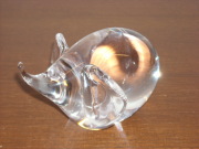 仕草が可愛いゾウ　ラージサイズ