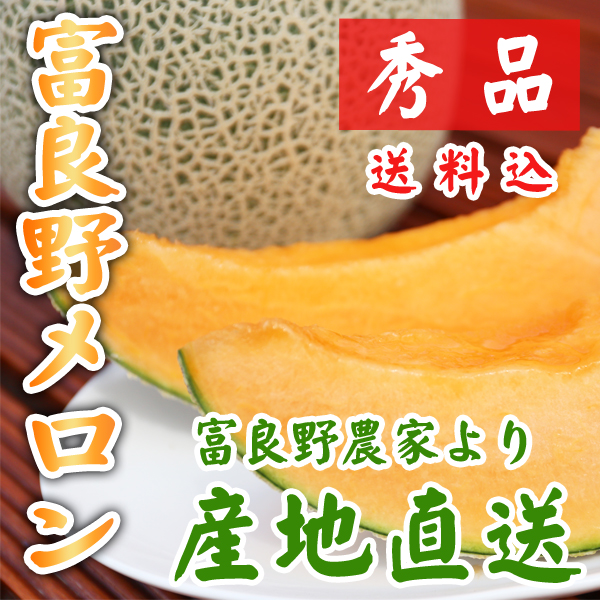 【産地直送★送料込】 北海道富良野メロン 秀品 6月下旬より随時出荷
