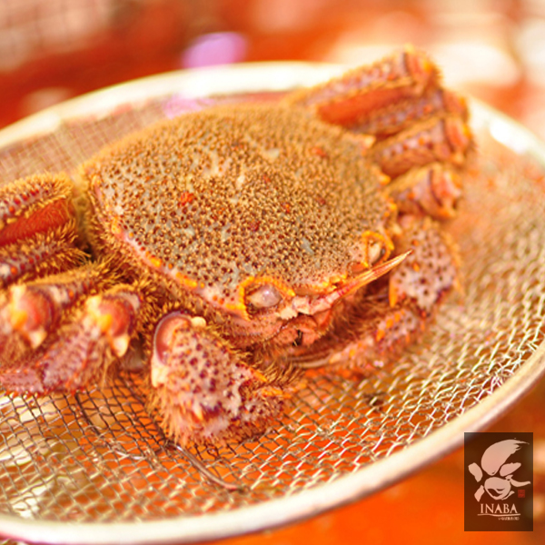 北海道産 活毛がに 約500 600g