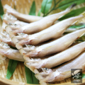 北海道産 子持ちししゃもメス