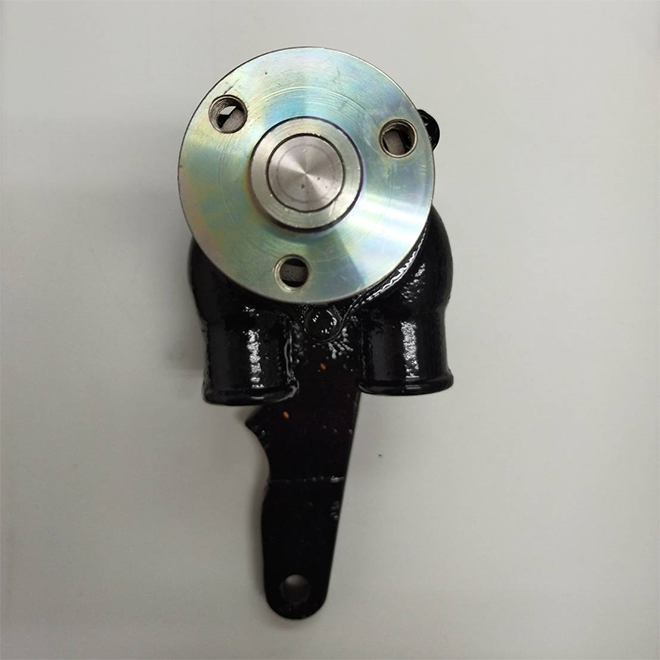 PCM 6.0L RAW WATER PUMP